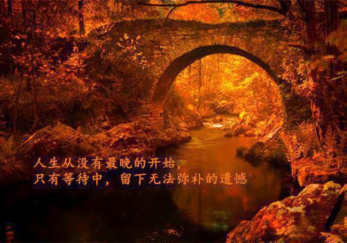 苏含烟厉霆深小说最新（苏含烟厉霆深）全文免费阅读无弹窗大结局_(苏含烟厉霆深小说)最新章节列表（苏含烟厉霆深）