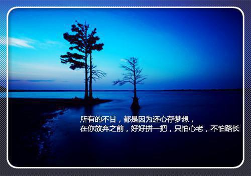 顾明修林夏傅景琛小说名字 总裁夫人只想躺平章节试读