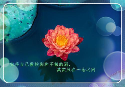 周易风林若若免费全文无弹窗 糖心沦陷小说在线阅读