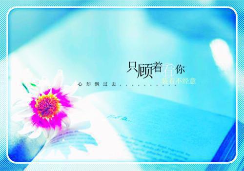 妻子将我关在地下暗室后,她疯了全文陆远舟郝佳然林声扬章节目录免费看