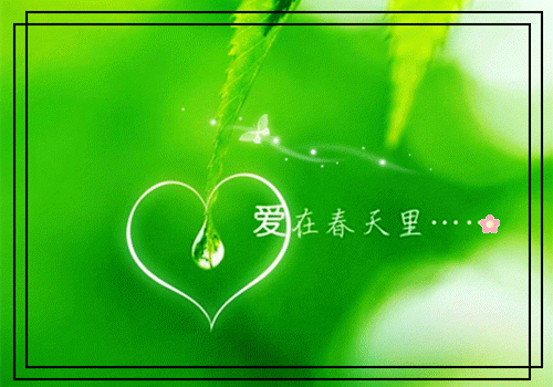 在下一个落日前吻你的脸(陆安霆温子语)小说全文-在下一个落日前吻你的脸小说免费阅读大结局