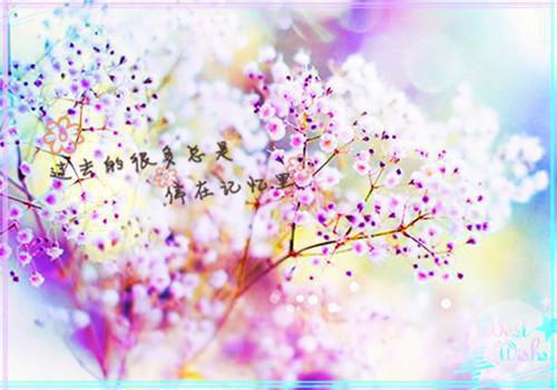 高考成绩被屏蔽，他们把我赶出家门免费阅读 孙安安孙思念小说无弹窗