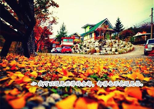 (抖音小说)盛念李诗媛小说全文阅读免费