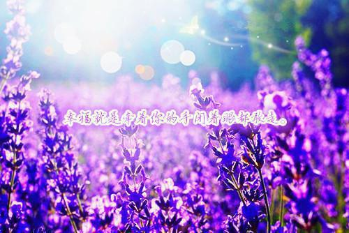 完结文傅承安纪云惜最新章节列表_完结文傅承安纪云惜全文阅读