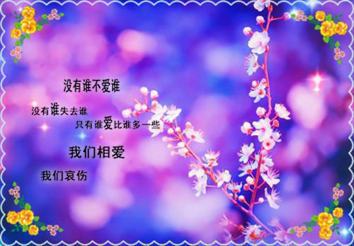 大婚三天，我为夫纳妾一箭三杀赵盈儿沈淮安陆清凝小说在线免费阅读