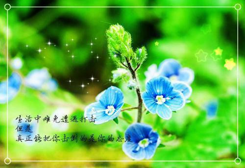 虞浅霜陆靳商（虞浅霜陆靳商）全文免费阅读无弹窗大结局_虞浅霜陆靳商全文免费阅读（虞浅霜陆靳商）