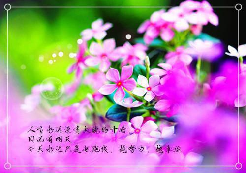 肖遥小说在哪里看 肖遥在线阅读第一章