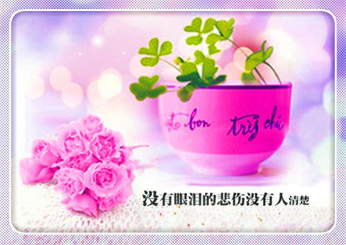 周雨周云完整未删减版在线阅读 周雨周云结局