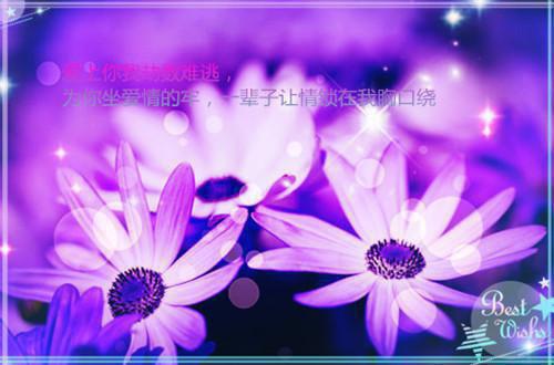 谁家的崽儿乱认娘楚亭澜祝妙风小说(完整)免费阅读