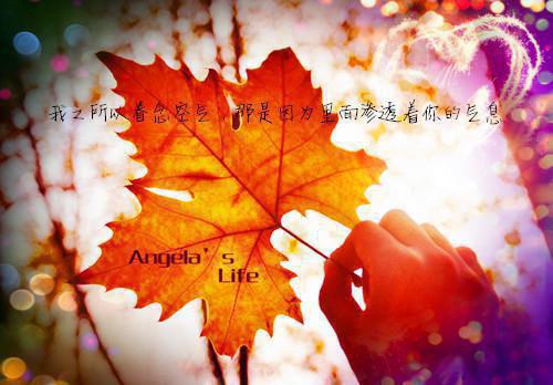 周子诚夏琳小说（周子诚夏琳）全文免费阅读无弹窗大结局_周子诚夏琳小说最新章节列表