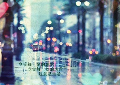 君向南行我向北乔兮小说（陆嘉衍乔兮）全文免费阅读无弹窗大结局_（陆嘉衍乔兮免费阅读）最新章节列表（陆嘉衍乔兮）