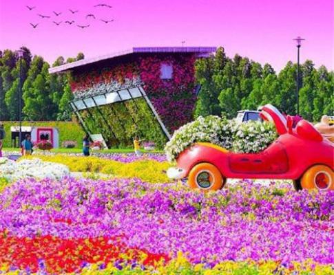 吴佳佳白秋秋宋行渊结局是什么 吴佳佳白秋秋宋行渊免费阅读全文