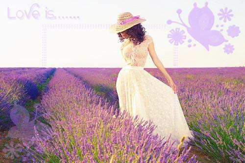 楚文州宋心棠免费小说 楚文州宋心棠全文阅读目录