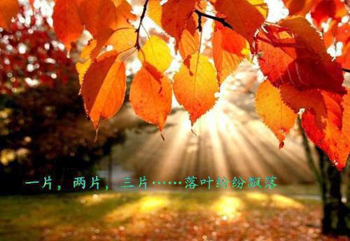 《许你情深几许》夏以沫晏横小说 夏以沫晏横在线阅读第8章