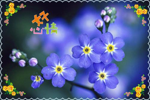 秦舒岑厉云辞免费小说 秦舒岑厉云辞完结版在线阅读