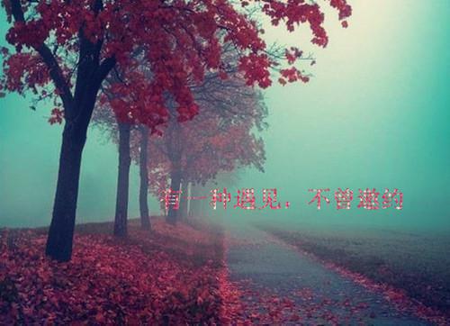 江栩郑清若全文免费阅读（甜言共赴小说）全文免费江栩郑清若读无弹窗大结局_(江栩郑清若甜言共赴小说免费江栩郑清若读全文大结局)最新章节列表（江栩郑清若）