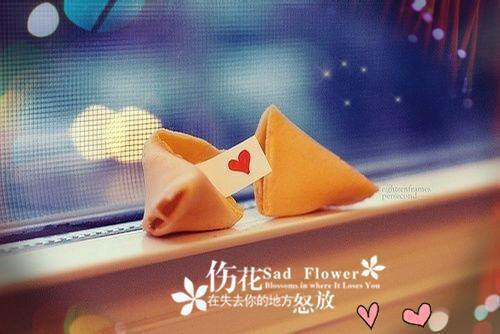 闪婚甜宠：腹黑总裁对我蓄谋已久温软顾祁无广告在线阅读