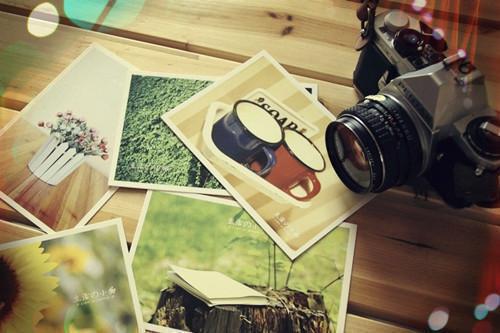 儿媳听话训练群王红梅免费章节在线阅读