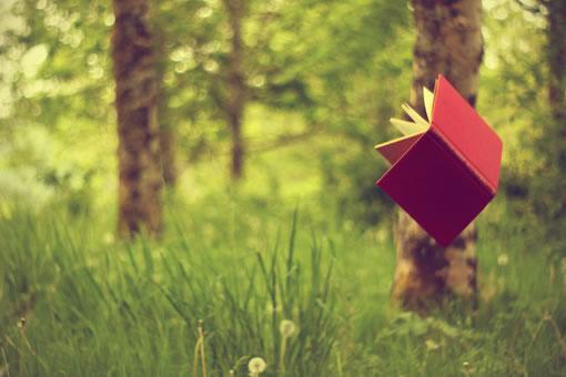 白笙杨明赵凯免费阅读目录 白笙杨明赵凯小说全文