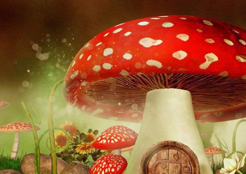 (完整版)沈斯年阿素小说免费阅读无广告