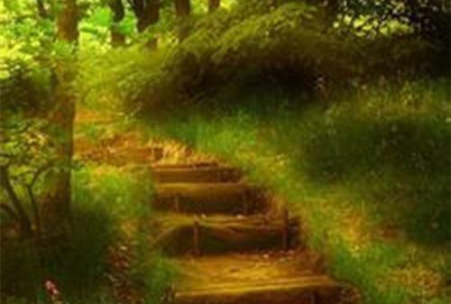 谁懂！我突然被夫君和陌生男争爱了沈惊游姜芙蕖小说免费试读