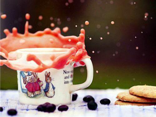 苏晚晚萧淮胤免费全本小说 苏晚晚萧淮胤章节目录