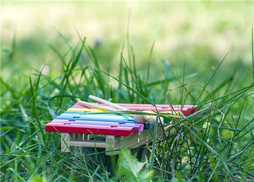 女友让我给白月光道歉后我消失在了她世界目录 秦之行沈沐月无弹窗阅读