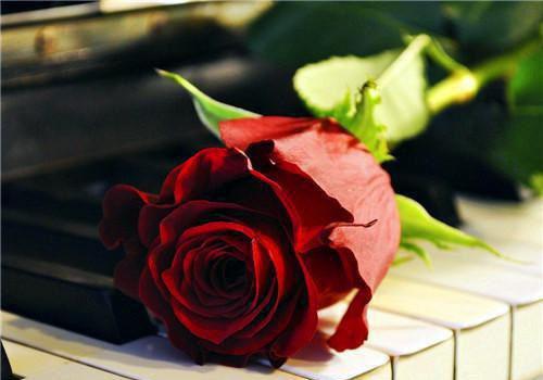 宋先生，你是我的小说全文免费阅读无弹窗大结局_（宋先生，你是我的）宋听澜颜子满最新章节列表