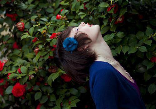 应霜寒花醉小说 应霜寒花醉全文免费阅读