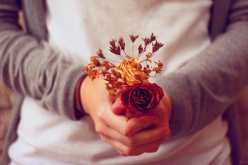 穿书后,在玄幻文抱最强大腿柳如烟赵鹏完整版免费阅读