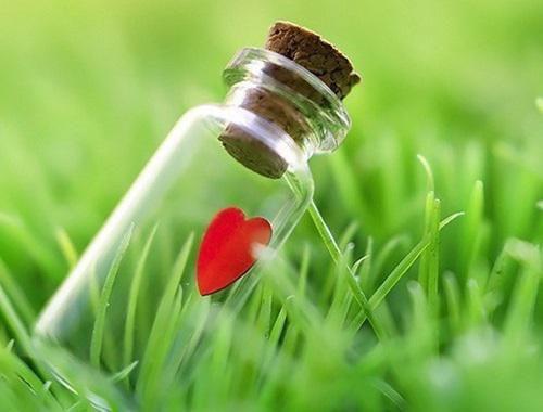 刘大根免费小说 刘大根在线阅读