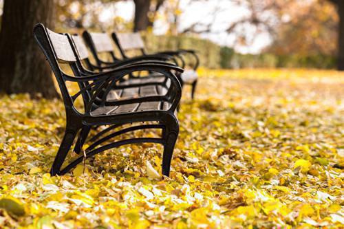 分手后，前女友悔不当初小说(柳如烟王叔)章节阅读