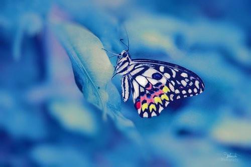 胡闹烤肉(结局) 许泽铭杨时语免费阅读全文