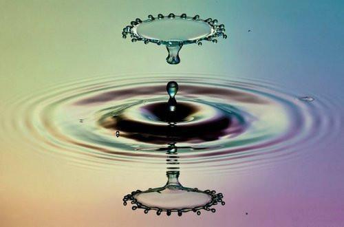 男友让我代孕免费阅读 徐越林淑小说无弹窗