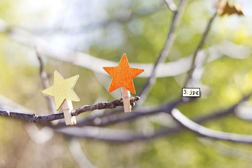 小说还剩三个月命，请让我从容赴死（庄子昂）全文免费阅读-最火热门小说还剩三个月命，请让我从容赴死最新章节更新