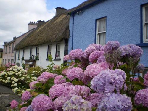 温玲玲夜晟胤的小说 温玲玲夜晟胤全文免费阅读