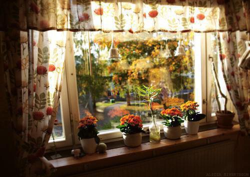 洛长缨玄九免费全文 洛长缨玄九小说在线阅读