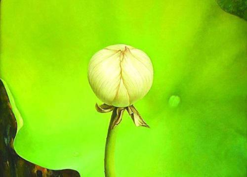 秦娆娆穆居安小说叫什么 秦娆娆穆居安小说全文免费阅读