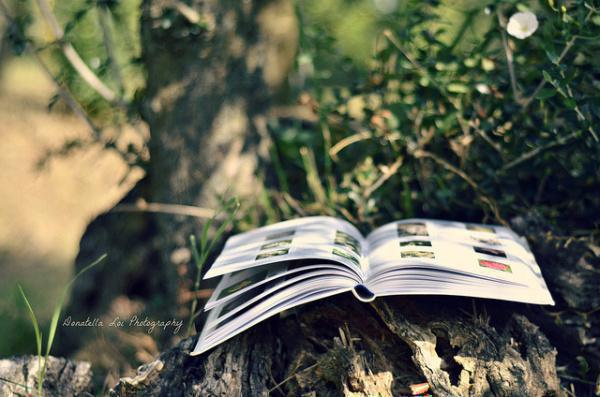 姜晚媚钟逸（钟逸姜晚媚）全文免费阅读无弹窗_姜晚媚钟逸最新小说