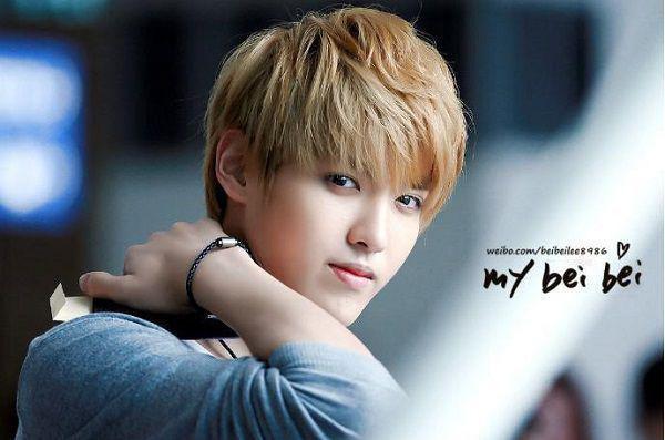 季如绮邵柯若小说章节免费阅读 季如绮邵柯若无弹窗