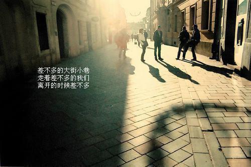 禾茵萧禇全文免费大结局 禾茵萧禇小说在线阅读