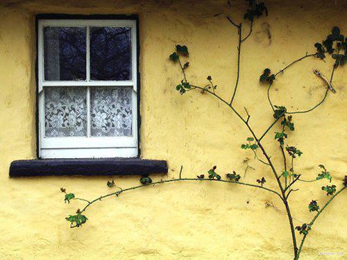 妧卿宣嵘最新章节免费 妧卿宣嵘第8章在线阅读