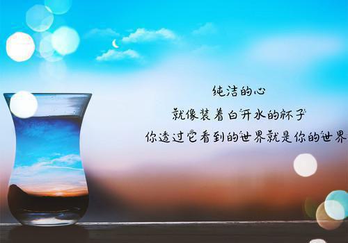 枝枝回家全文目录 沈枝枝顾征小说无删减无弹窗阅读