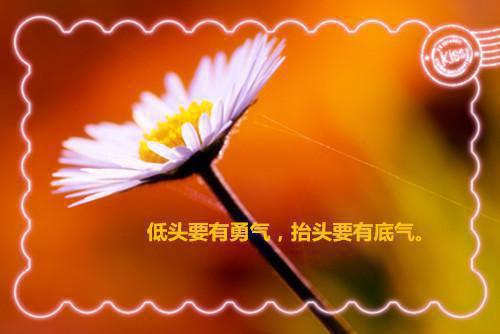 赵琳琳周柏彦的小说 赵琳琳周柏彦全文免费阅读