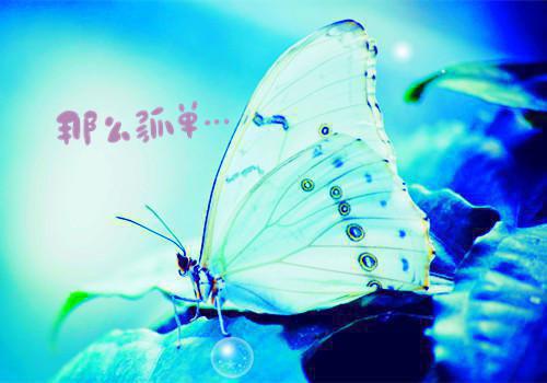 伏梦悦柳辰夜小说 伏梦悦柳辰夜免费章节阅读