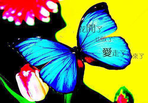 沈叙白温稚禾免费全本小说 沈叙白温稚禾章节目录