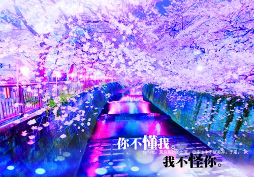 宋惜月贺兰隽（宋惜月贺兰隽）全文免费阅读最新章节大结局_宋惜月贺兰隽最新章节列表