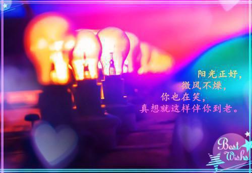 沈薇薇周墨顾妍《十年舔狗醒悟了》小说在线阅读