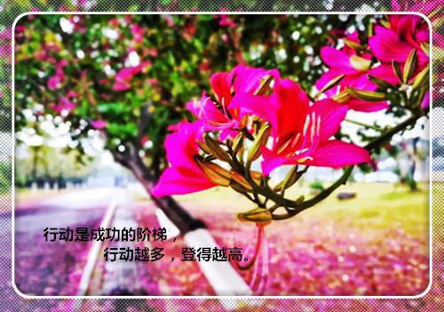 林露周逸寒免费阅读目录 林露周逸寒小说全文