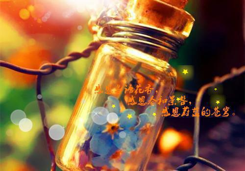 姜瓷厉禹东小说最新章节试读_姜瓷厉禹东是(姜瓷厉禹东)小说主角热门推荐